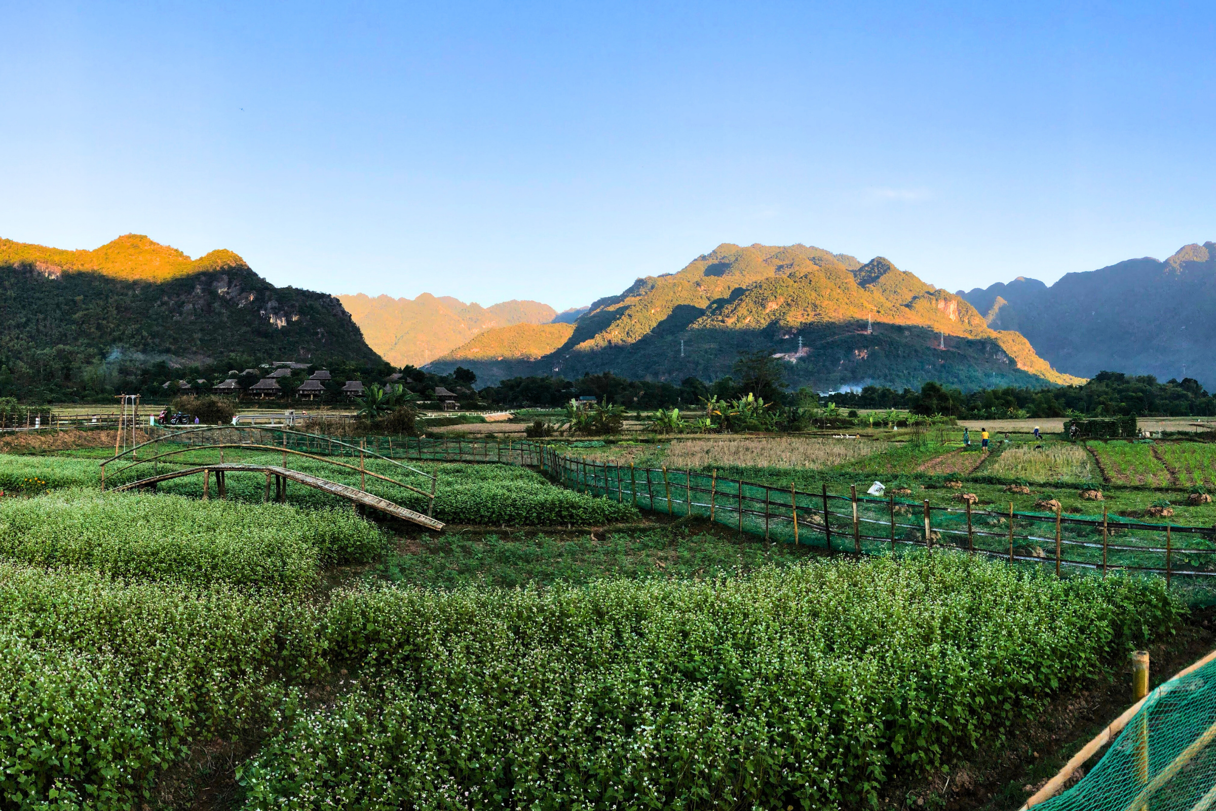 mai châu district.webp